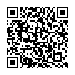 作为公主集团在媒体发声的杰出检察官代表人物二维码生成