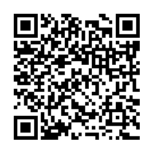 作为当初买股权的老怪物也没和这群人提起这件事二维码生成