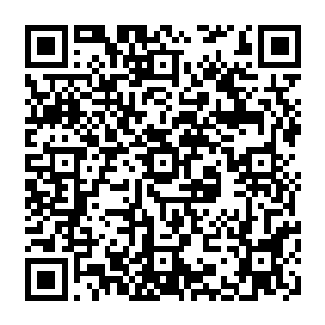 作为曾经和荣光在云达不莱梅做了两年队友的新援伊斯梅尔就成了最受大家欢迎的人二维码生成