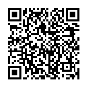 作为黑炎城一个普通花匠的弗兰萨先生有些紧张的上前一步说道二维码生成