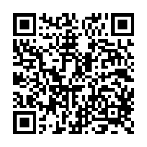 你不会以为小爷我真的一点都不知道你的来历吧二维码生成