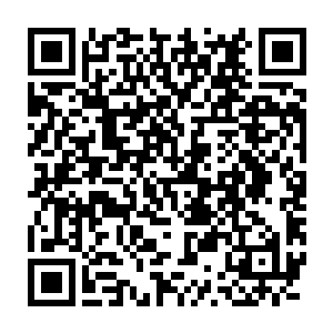 你不会觉得我有这样的本事能够在火凤族人的眼皮底下动什么手脚吧二维码生成