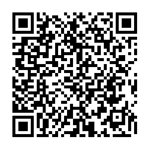 你不能就这么忽然间决定把这整件事公开化――你也不能忽然跑回洛杉矶二维码生成