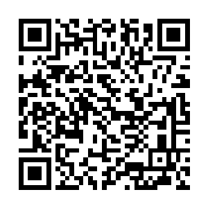 你也听说了沧澜宗弟子许紫烟来南方建立宗门之事吧二维码生成