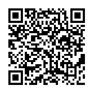 你以为伟大的兔爷会让你们用这种普通的方法去感悟大地么二维码生成