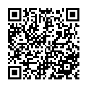 你以为岚姐为啥想大年初一的就组织咱们去唱k啊二维码生成