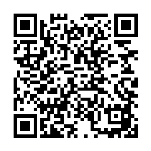 你以为我还能像三月的阳光四月的雨一样温柔的招待你二维码生成