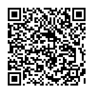 你以为阿父和阿母这么多年来对你的好就是为了你以后能给这个家带来回报二维码生成