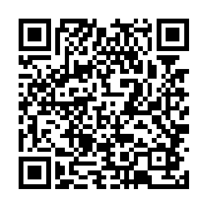 你们也在这里培养出属于你们自己的人脉跟势力了二维码生成