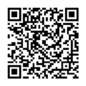 你们交际舞协会打算什么时候举办新生入学的舞会啊二维码生成