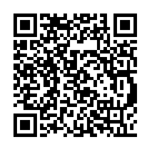 你们人族中可从来不缺少想要利用我们的聪明人二维码生成