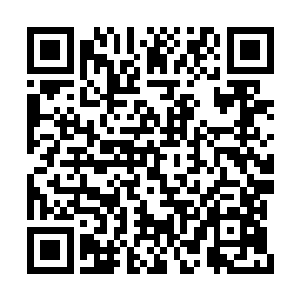 你们以为本尊不知道去天元神土和不死魔域的路二维码生成