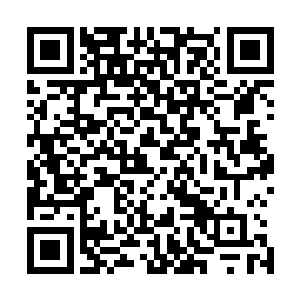 你们千万别说你们不知道镇甲殿的人马都是些什么样的人马二维码生成