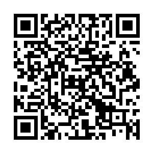 你们可以动用你们地下世界的规矩來行事……不过二维码生成