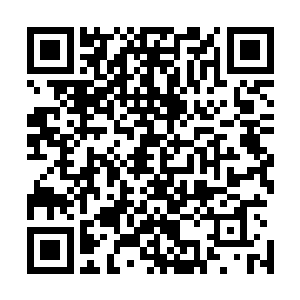 你们回去召开班子会认真研究如何为经济社会发展保驾护航二维码生成