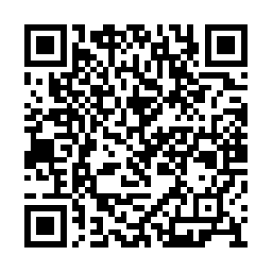你们在门派内所领到的内门任务和师门任务作废二维码生成
