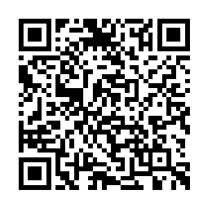 你们将来在离开音城时必须带我一起走一纸契约二维码生成