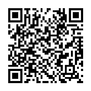 你们应该能够想象得到自己被利用完之后的下场吧二维码生成