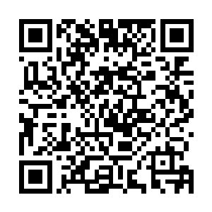 你们敢拼上性命杀敌人就没有勇气面对断了手脚的现实了二维码生成