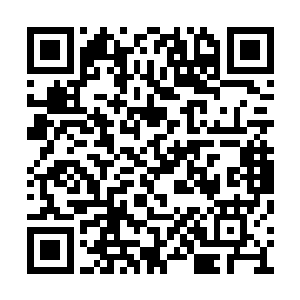 你们来到老衲这里所求者无非就是一纸柬书而已二维码生成