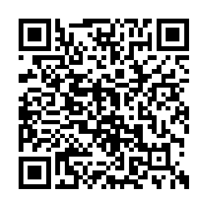 你们的代表团成员和那些年轻人发生冲突的时候二维码生成