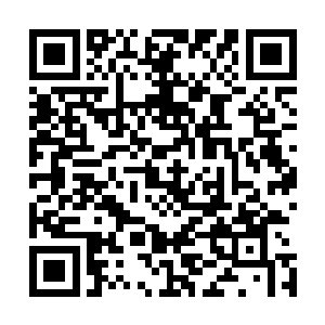 你们的攻击目标是……一切可能疑似的非本团队副本参与者二维码生成