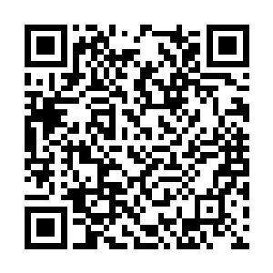 你们虫族一定会团结在万妖联军统帅金屠异的身边二维码生成