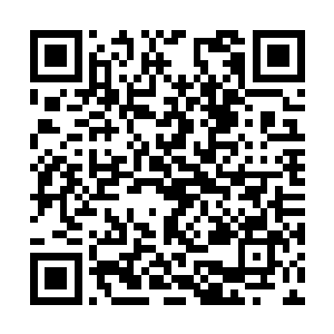 你们要是朋友的话你不可能看着她养鬼仔不管不是二维码生成