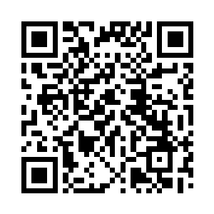 你们过去看看金鲨族那儿到底发生了什么二维码生成