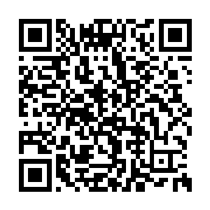 你们这些叫花子都会因为破坏治安罪被抓起来的二维码生成