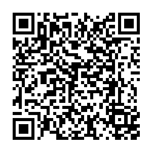 你们选了阿尔法这台正正经经如假包换的超级军用机器人做委员长二维码生成