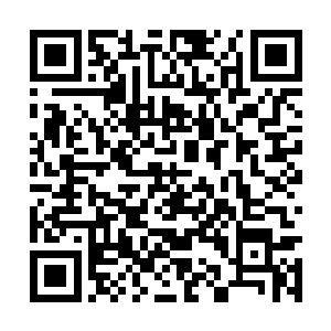 你凭什么判断罗伯森教授和他的研究团队还会回来二维码生成