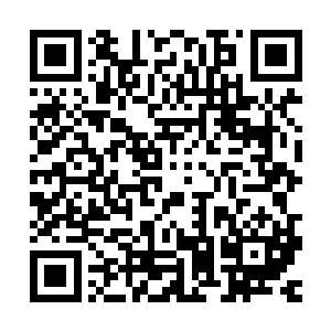 你刚才说的苹果跟微软两家公司都已经主动找上门来联系业务了二维码生成
