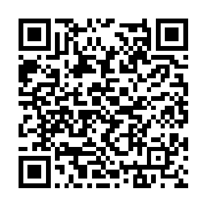 你又怎么能肯定我和彼得这次不能在下面大赚一笔二维码生成