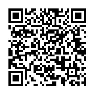你只要提供一份完整的英文剧本和拍摄计划就可以二维码生成