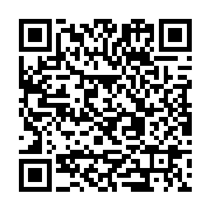 你只需按本座之前交待的那般主持好若耶阁里的事务二维码生成