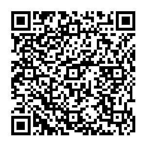 你可到好……居然想要在我爸的生日上给他送骨灰盒……你……你到底安得什么心呀二维码生成