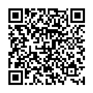 你可知道和老板今天带来的那个年轻人是什么人物二维码生成