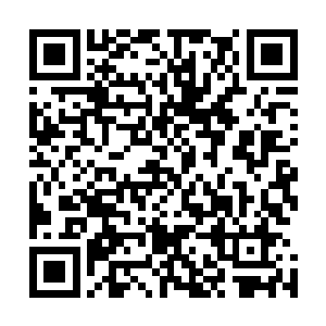 你可能从来都没有在新闻和报纸上面看到他们的影像和资料二维码生成