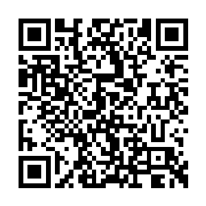 你在国内真的很难看到有着如此神奇表现的队伍二维码生成