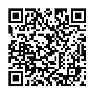 你在收下我们五百两黄金的定金的时候可是毫不犹豫二维码生成