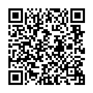 你在讨厌我也不能改变我和修尧曾经是朋友兄弟的事实啊二维码生成