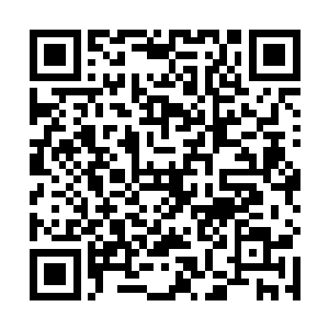 你始终在经历着某种类似于秀一最深层意识的可怕回忆二维码生成