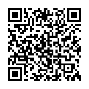 你家欢喜哥还没有说凤书记其实是求自己办事呢二维码生成