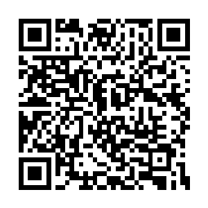 你对我有情……哈哈……你还是舍不得我死……二维码生成