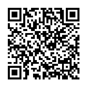 你帮我把我的m700和mp5还有我的p226都给我陪葬就好二维码生成