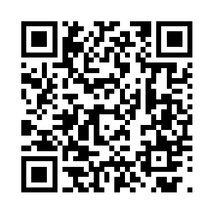 你开出了一百万的片酬以及20%的版权二维码生成