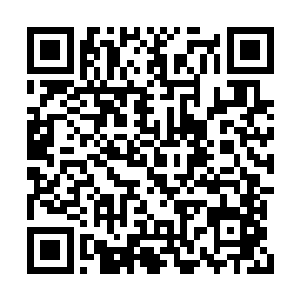 你拥有权力随意抽调秦皇国的任意一支百万大军二维码生成