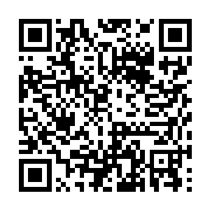 你是说……他们……他们是传说中的……那些……二维码生成