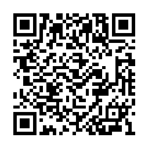 你是说在这座森林的外面真的有人类修士的存在二维码生成